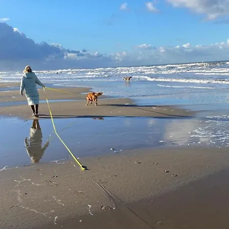 Neues, Ruhiges Nr 46 Mit Meerblick 100 Meter Zum Wattenmeer, Komplett Eingezaeunt *