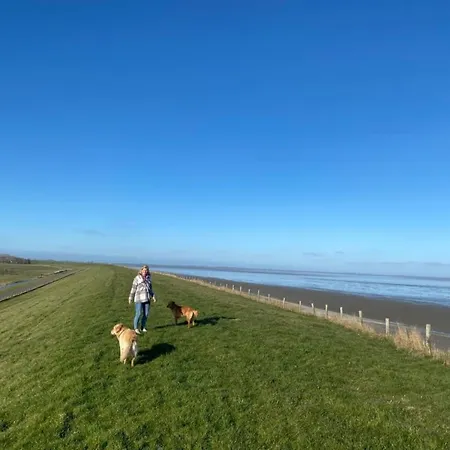 Holiday home Neues, Ruhiges Nr 46 Mit Meerblick 100 Meter Zum Wattenmeer, Komplett Eingezaeunt *
