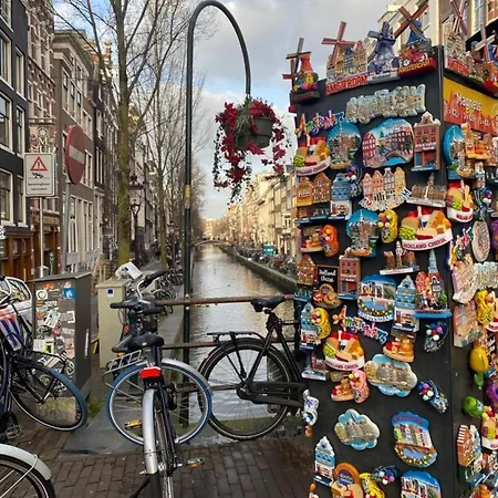 Neues, Ruhiges Nr 46 Mit Meerblick 100 Meter Zum Wattenmeer, Komplett Eingezaeunt