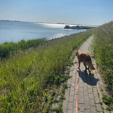 Neues, Ruhiges Nr 46 Mit Meerblick 100 Meter Zum Wattenmeer, Komplett Eingezaeunt *
